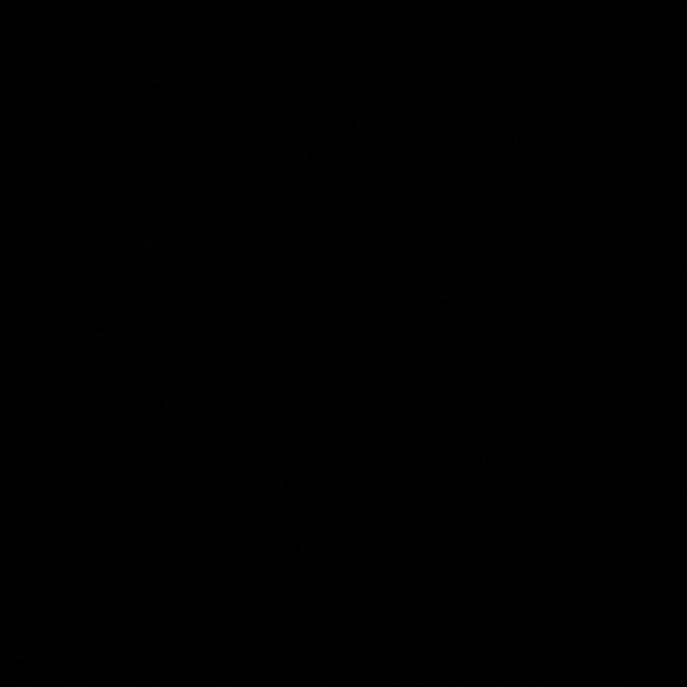 Meet your Posher, Shawnbria